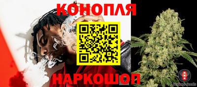 бошки Коммунар